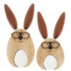 hout-paashaas