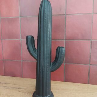 vaas-cactus