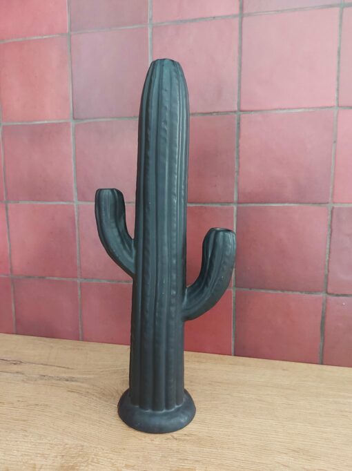 vaas-cactus