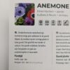 anemone-bloembollen