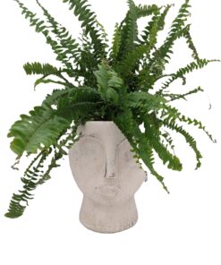 Plantenpotten