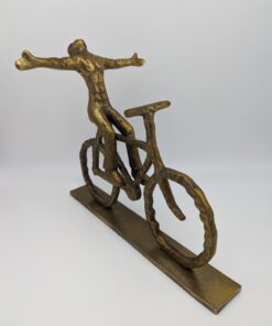 fiets-goud-winnaar