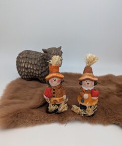 Stroman - Vogelverschrikker - Herfst